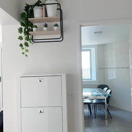 Superb Modern And Spacious Mathis *